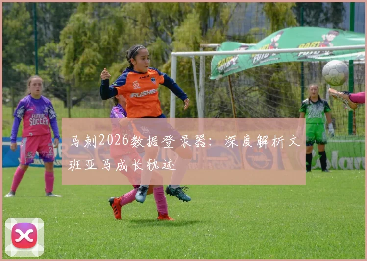 马刺2026数据登录器：深度解析文班亚马成长轨迹