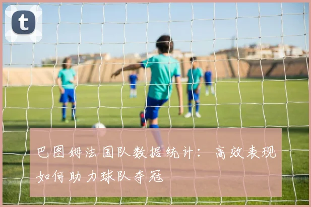 巴图姆法国队数据统计：高效表现如何助力球队夺冠