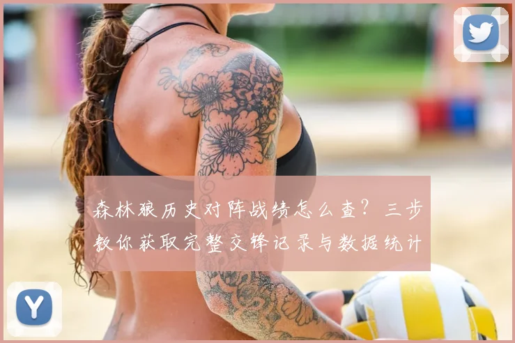 森林狼历史对阵战绩怎么查?三步教你获取完整交锋记录与数据统计