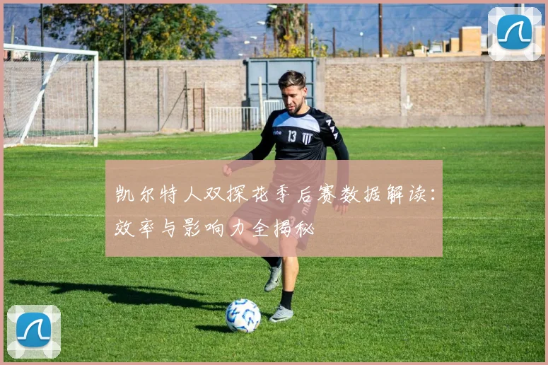 凯尔特人双探花季后赛数据解读：效率与影响力全揭秘