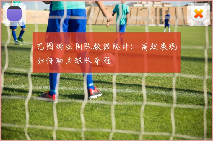 巴图姆法国队数据统计：高效表现如何助力球队夺冠
